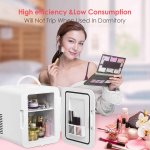 Costway 4 Liter Mini Fridge Portable Cooler Warmer Makeup Skincare Refrigerator White