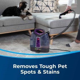 BISSELL Spot Clean ProHeat Pet Portable Carpet Cleaner, 2513W